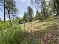 Photo numero 47490050 du bien UBI474481286